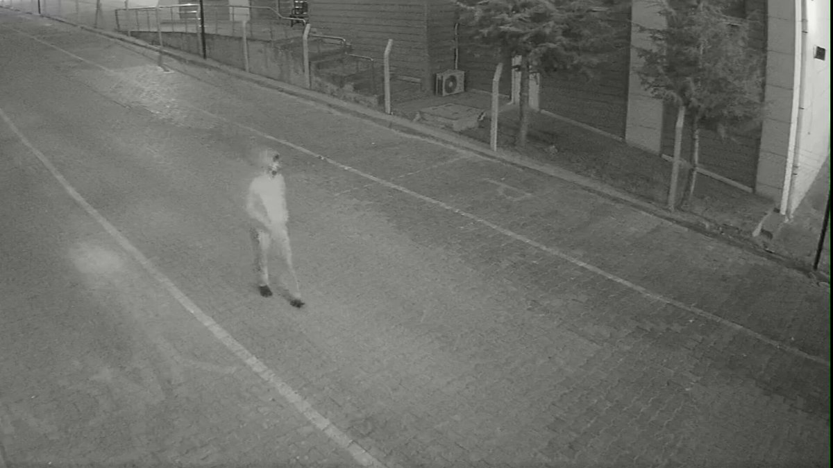 Eskişehir'de Demir Çubukla Cinayet Zanlısı Afyonkarahisar'da Yakalandı