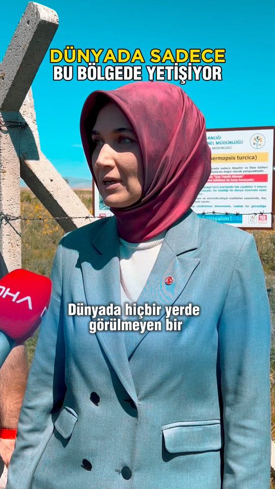 Nadir Bitki Türü Çiçek Açtı: Üç Meyve Veren Eşsiz Baklagil