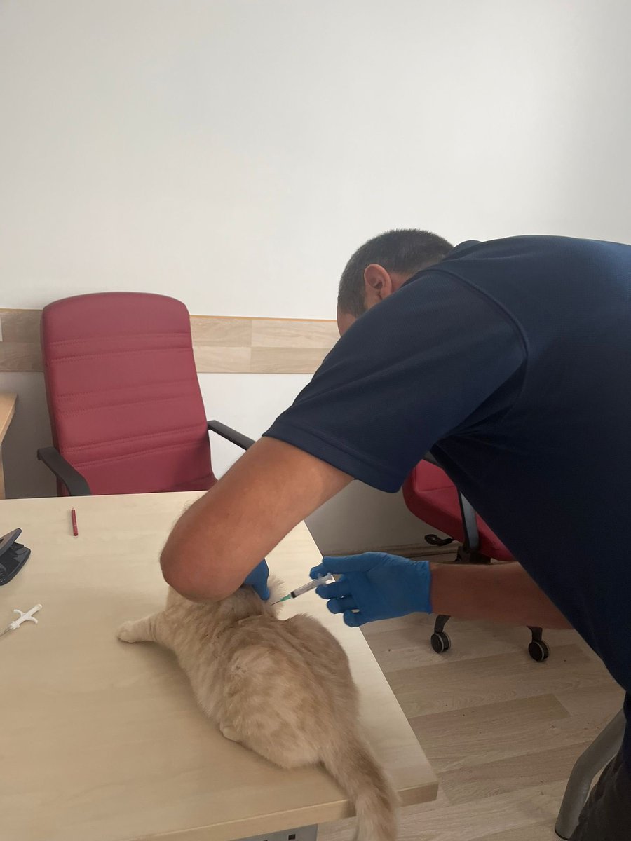 Kedi ve Köpek Kimliklendirme Açıklaması