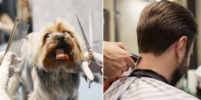 Berberlerde Yeni Hizmet: Köpek Tıraşı Uygulaması Başladı