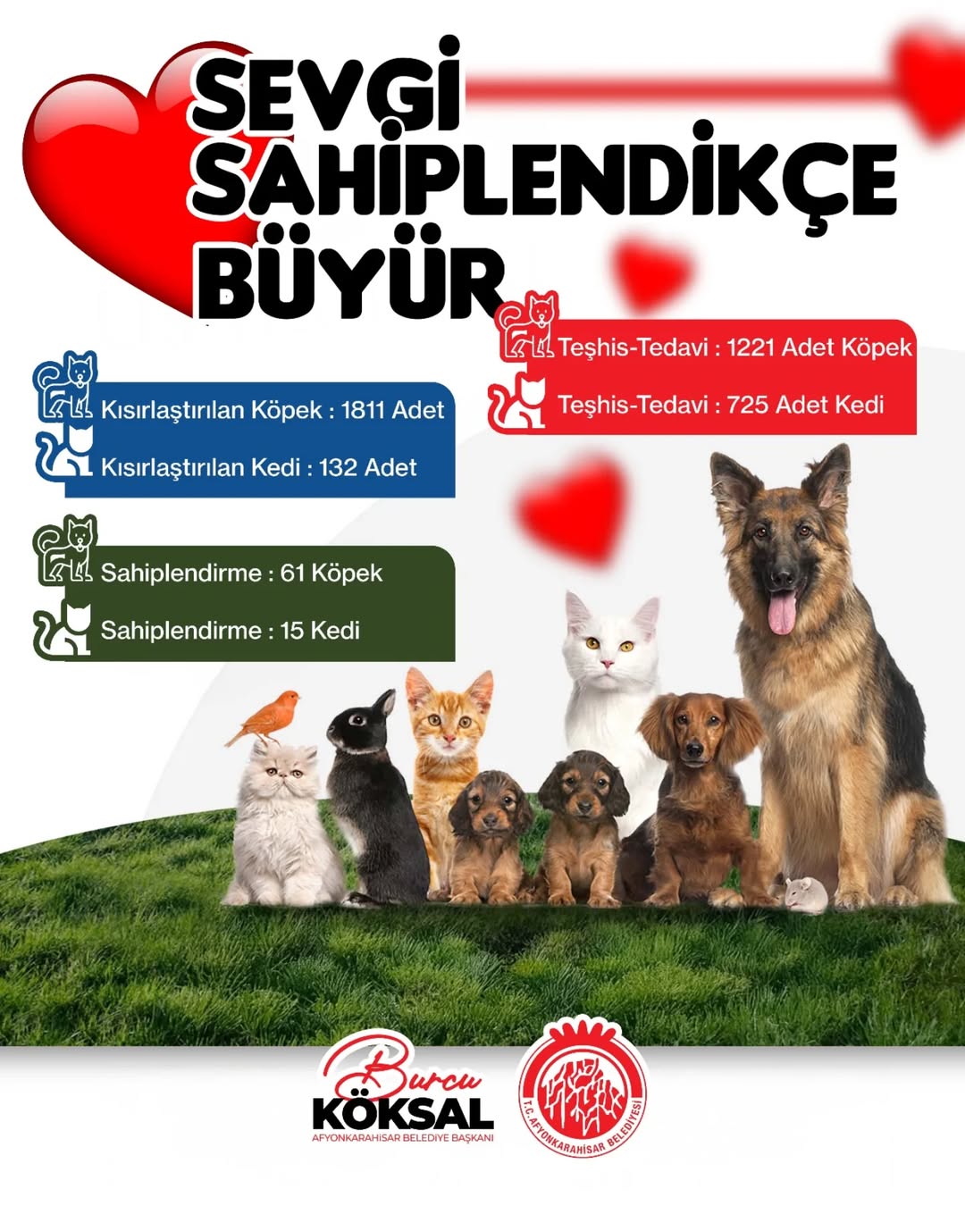 2024 Yılında Binlerce Can Dostumuza Yeni Bir Hayat Sunuldu