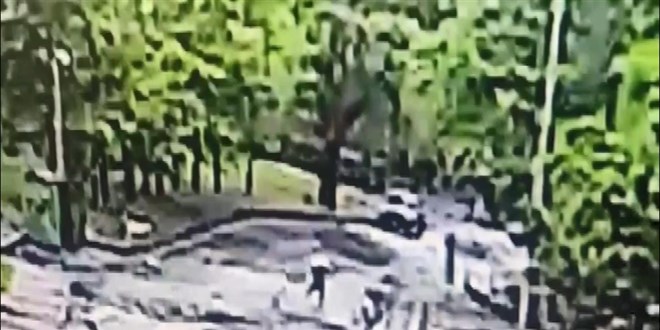 YTÜ Kampüsünde Öğrenci Sokak Köpeği Saldırısına Uğradı