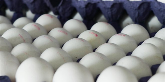 Yumurtada Fiyat Düşüşleri Yavaşlıyor: YUMBİR'den Marketlere Eleştiri