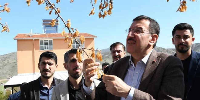 Zirai Don Destek Ödemeleri Kurban Bayramı Sonrası Başlıyor