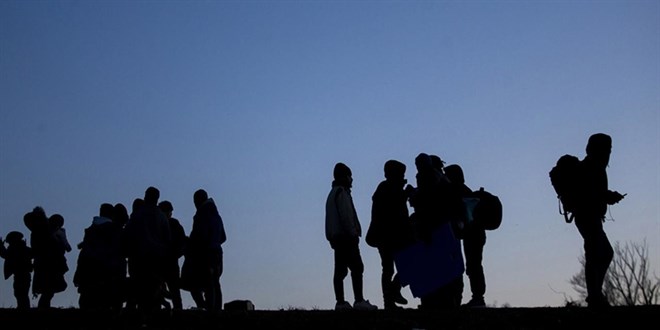 Göçmen Kaçakçılığı Operasyonunda 446 Düzensiz Göçmen Yakalandı