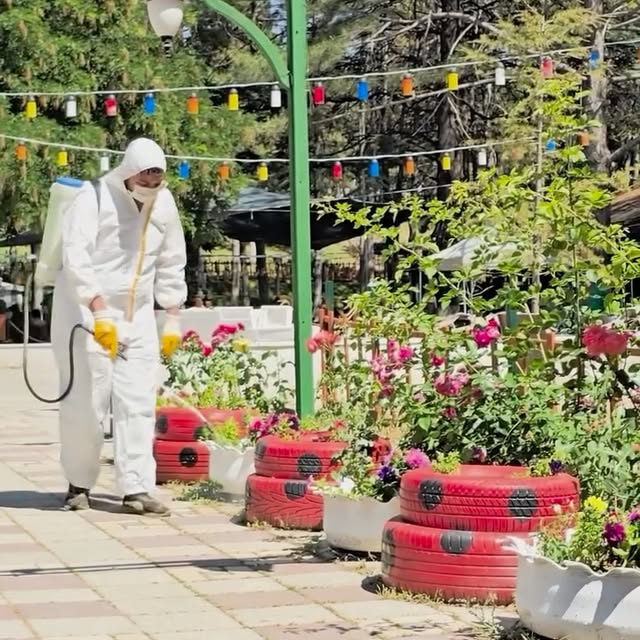 Bolvadin'de Haşerelere Karşı Kapsamlı İlaçlama Çalışmaları Başladı
