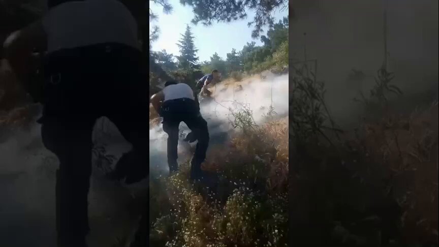 Hıdırlık Ormanlık Alanında Yangın Kontrol Altına Alındı