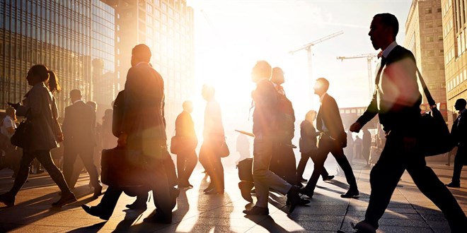 Türkiye'de İşsizlik Oranı Yüzde 8.4'e Düştü: Genç İşsizlik Endişesi Devam Ediyor