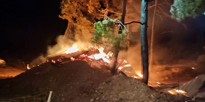 Gölpazarında Orman Yangını: 95 Küçükbaş Hayvan Telef Oldu