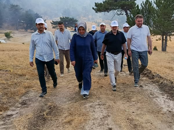 Sarıcaova'da Orman Yangını: AK Parti İl Başkanı Şahin Bölgeyi İnceledi