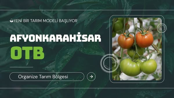 Afyonkarahisar'da Tarım Devrimi: Organize Tarım Bölgesi ile Üretim ve İstihdamda Yükseliş
