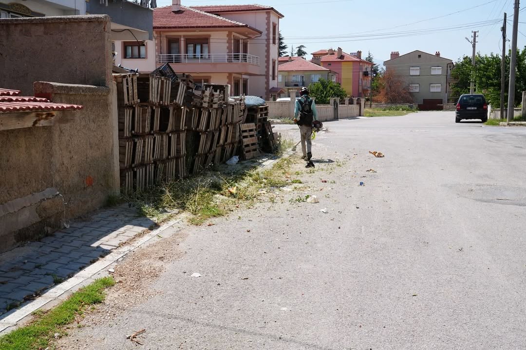 Bolvadin'de Çevre Düzenlemesi ve Ot Biçme Çalışmaları Aralıksız Sürüyor