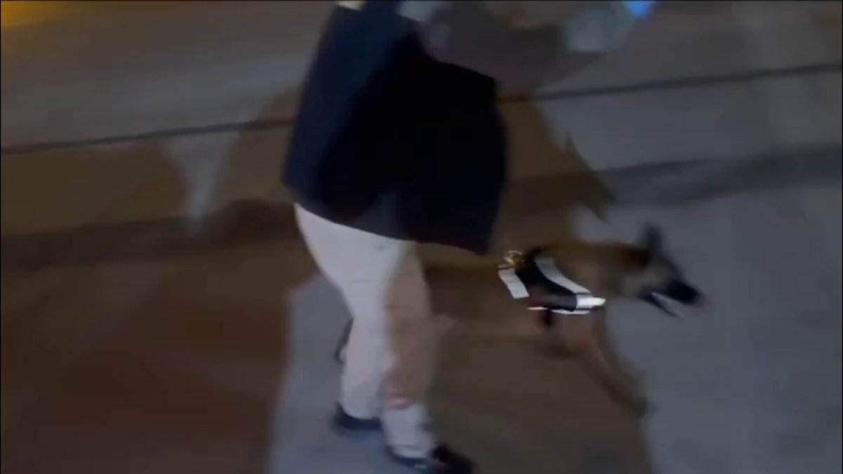 Uyuşturucu Operasyonunda Yakalanan Şahısların Elinden 3,750 Gram Uyuşturucu Ele Geçirildi