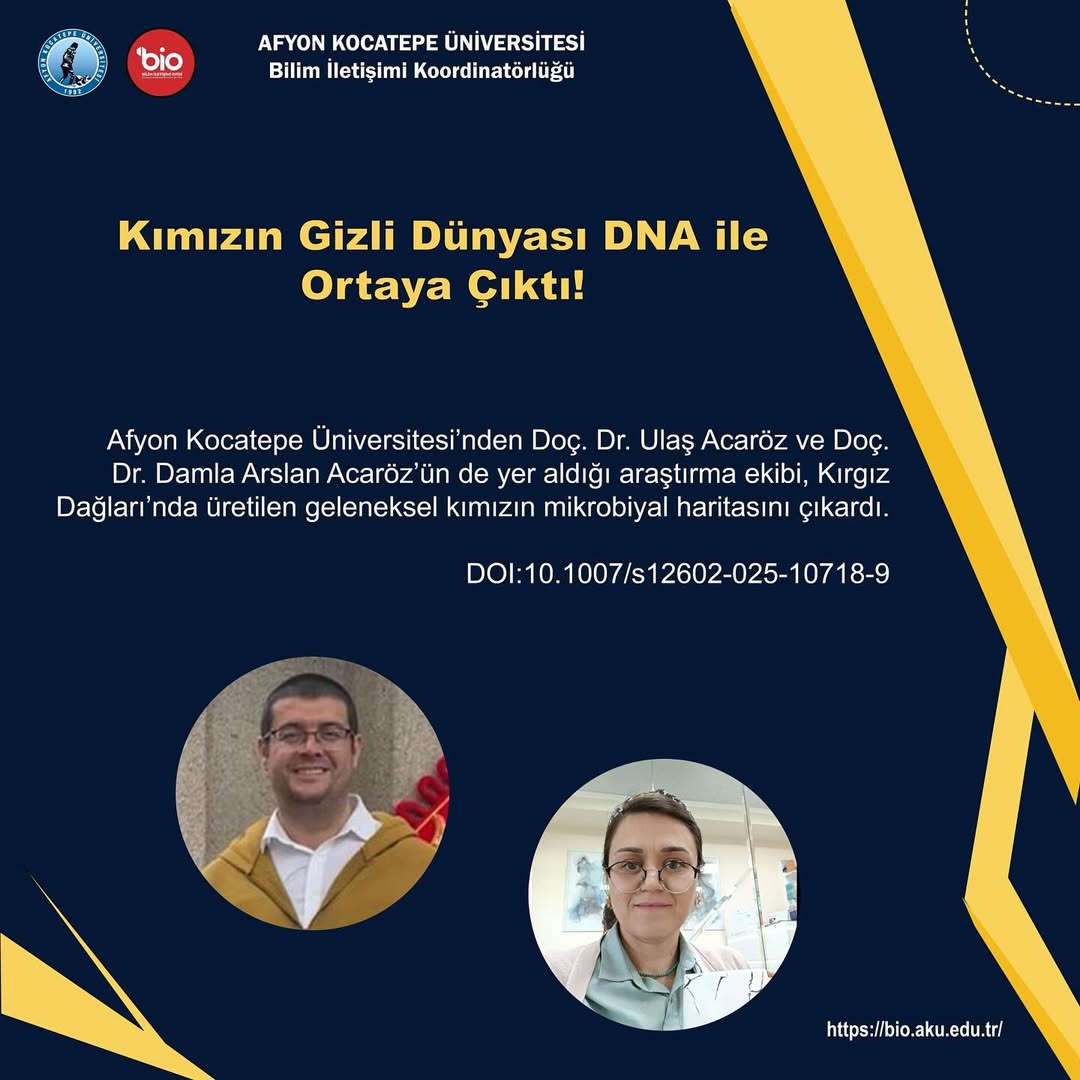 Afyon Kocatepe Üniversitesi Araştırmasıyla Kımızın Mikrobiyal Haritası Çıkarıldı