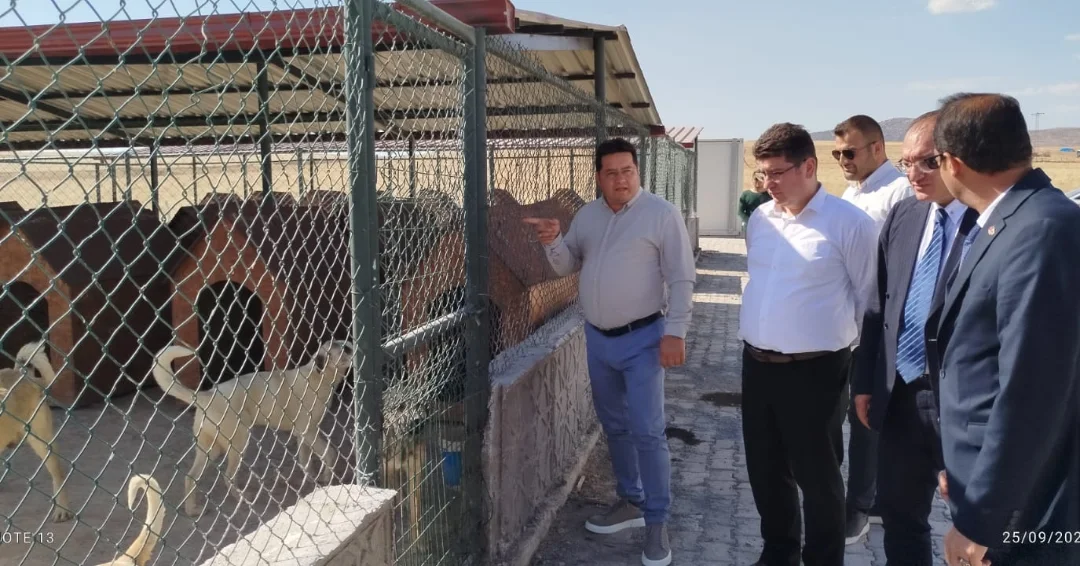 Bolvadin Belediyesi Hayvan Barınağı'nda Vali Yardımcısı ve Kaymakam İncelemesi