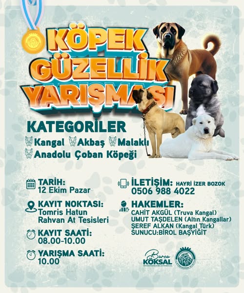 Anadolu'nun Yerli Köpek Irkları Sivas'ta Yarışacak