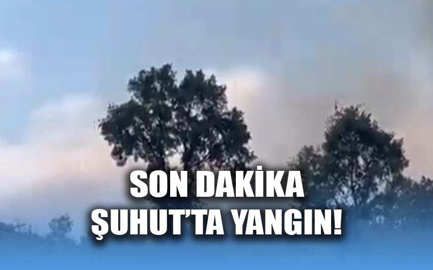 SON DAKİKA: Şuhut’ta yangın!