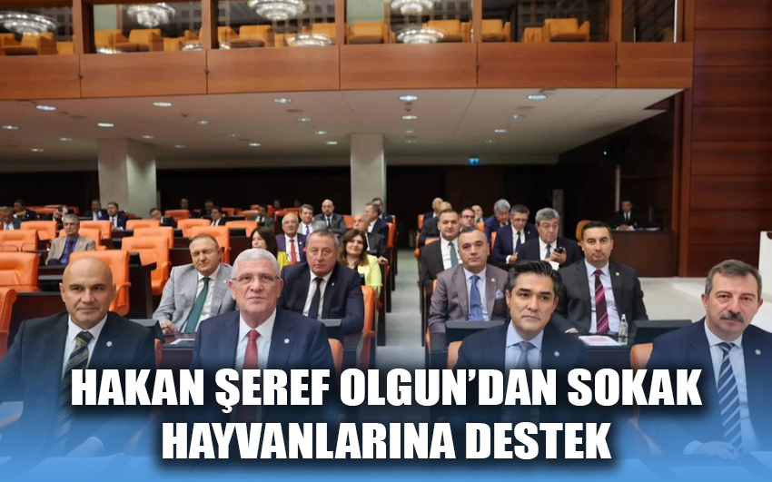 Hakan Şeref Olgun’dan sokak hayvanlarına destek 