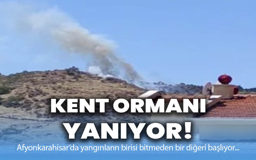 Kent ormanı yanıyor!