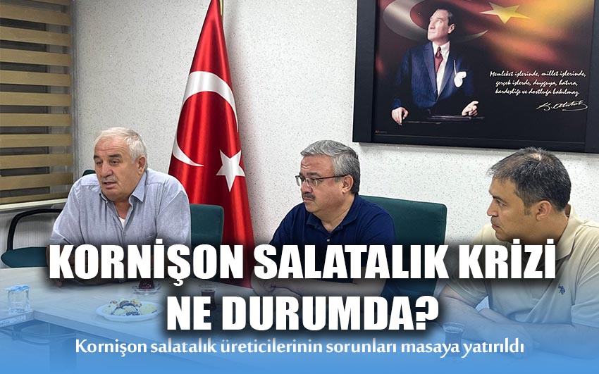 Kornişon salatalık krizi ne durumda?