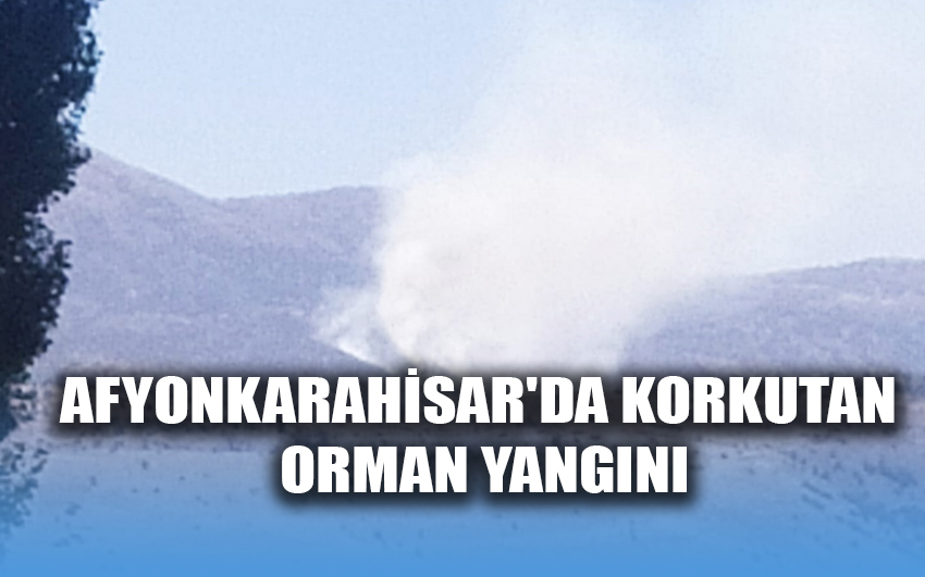 Afyonkarahisar'da korkutan orman yangını