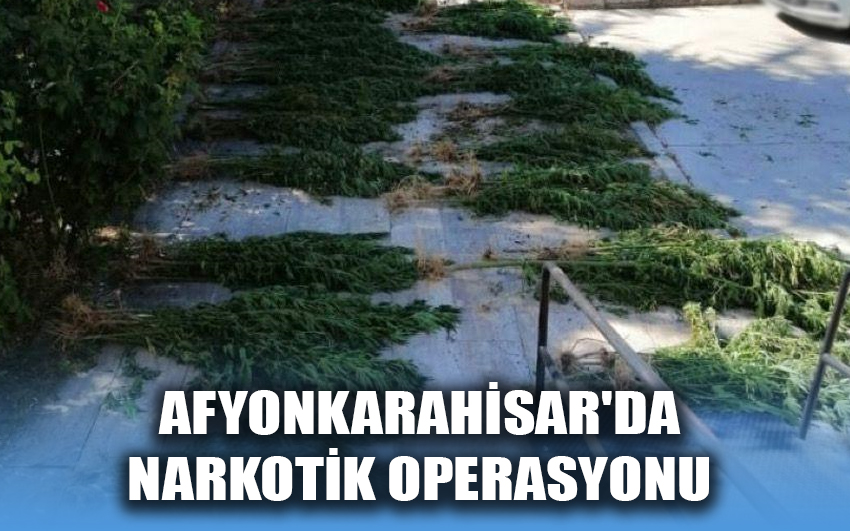 Afyonkarahisar'da Narkotik operasyonu 