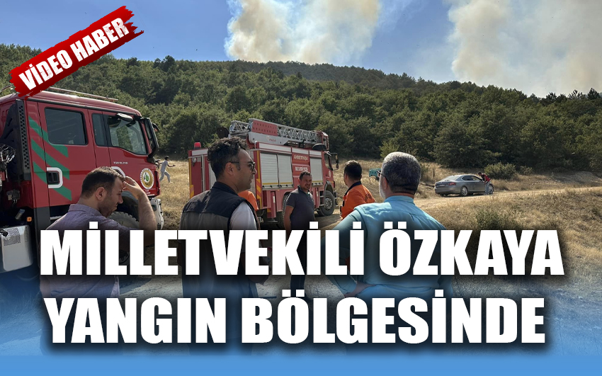 Milletvekili Özkaya, yangın bölgesinde 