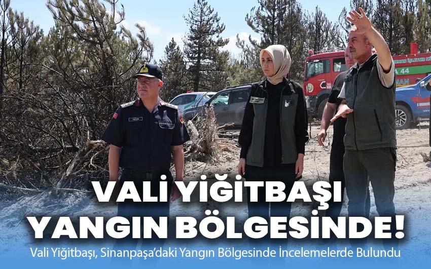 Vali Yiğitbaşı yangın bölgesinde!