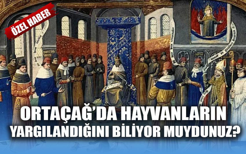 Ortaçağda hayvanların yargılandığını biliyor muydunuz?