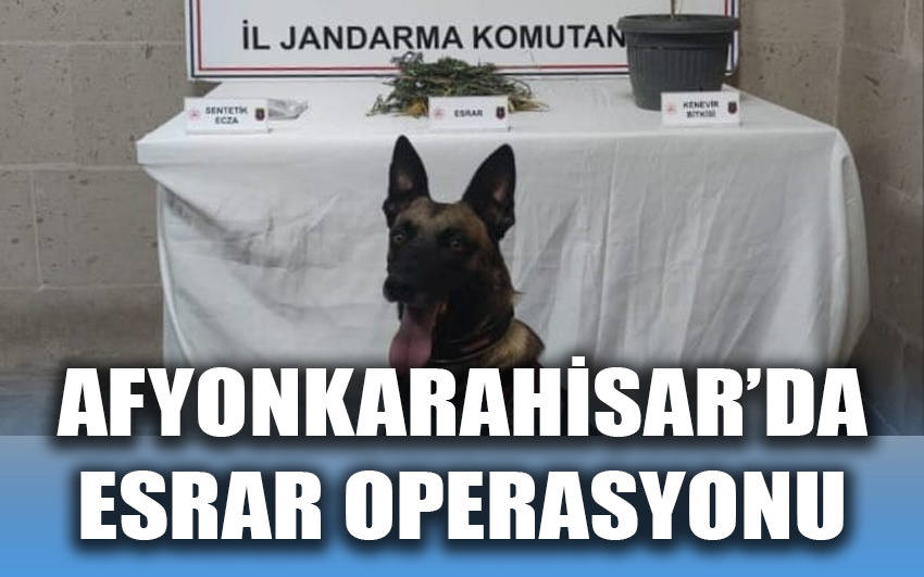 Afyonkarahisar’da esrar operasyonu 