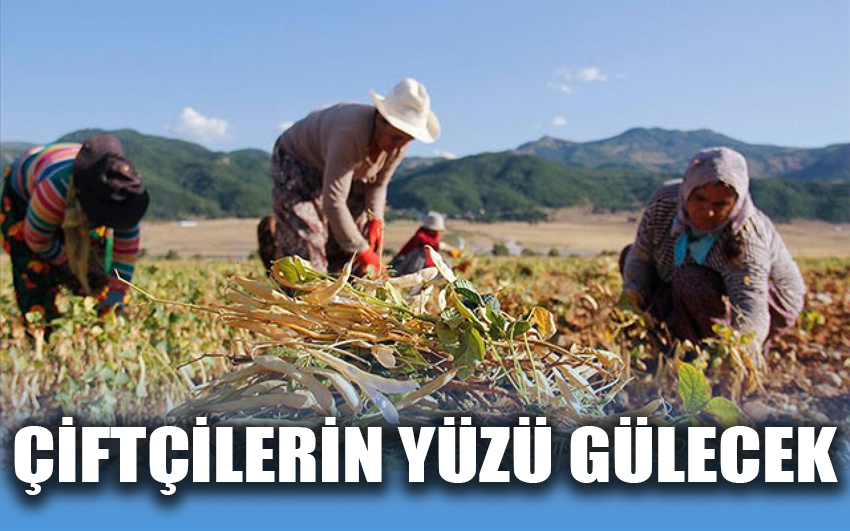 Çiftçilerin yüzü gülecek