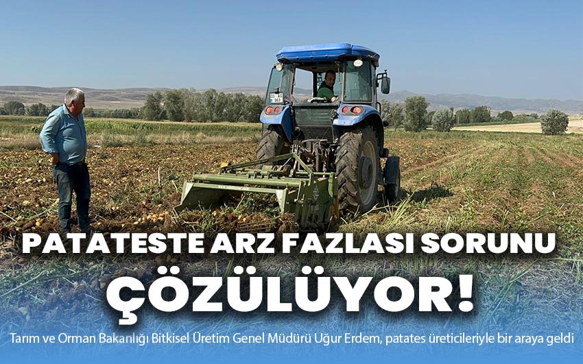 Patateste arz fazlası sorunu çözülüyor!