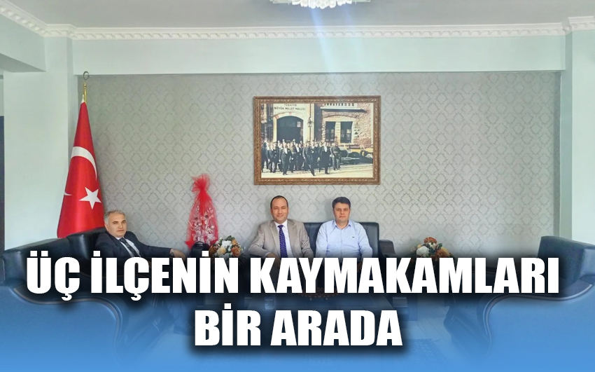 Üç İlçenin Kaymakamları, bir arada