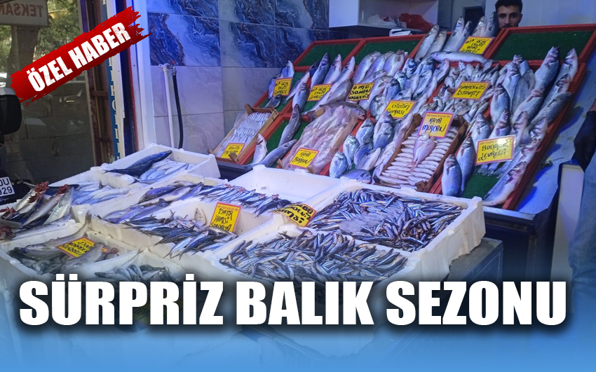 Sürpriz balık sezonu 