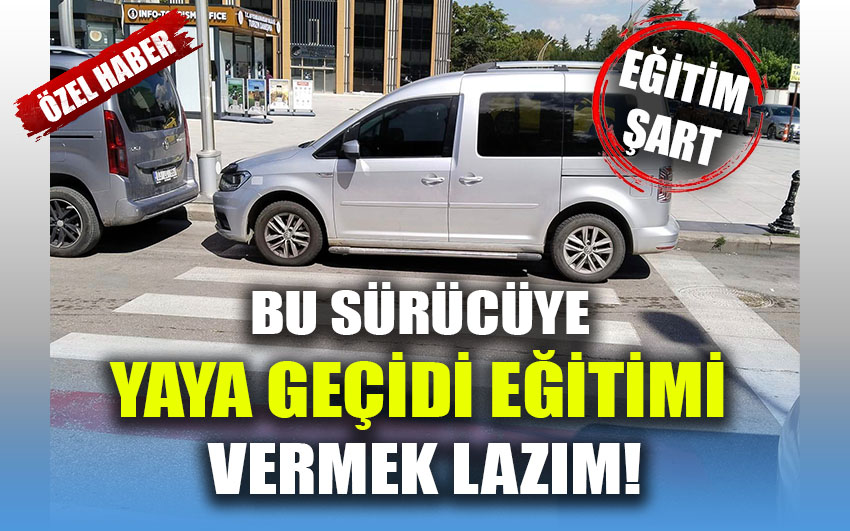 Bu sürücüye yaya geçidi eğitimi vermek lazım