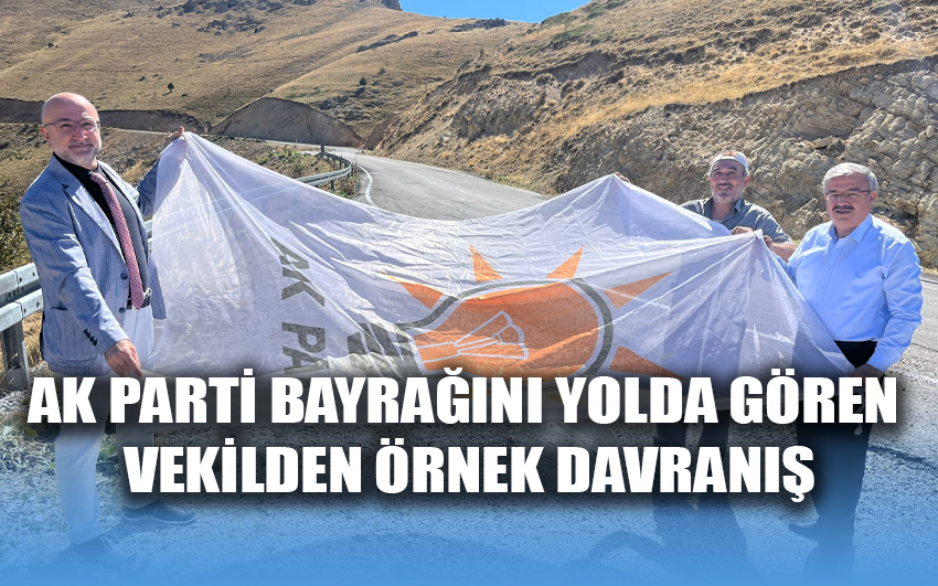 AK Parti bayrağını yolda gören vekilden örnek davranış