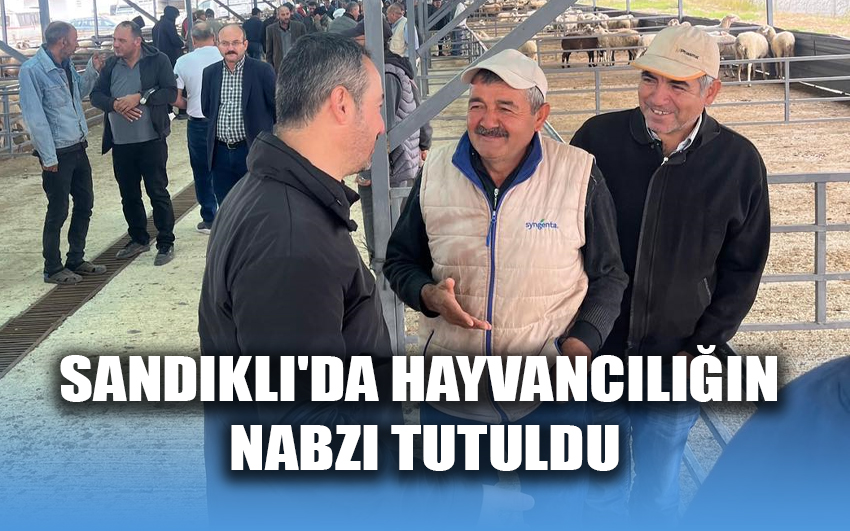 Sandıklı'da hayvancılığın nabzı tutuldu