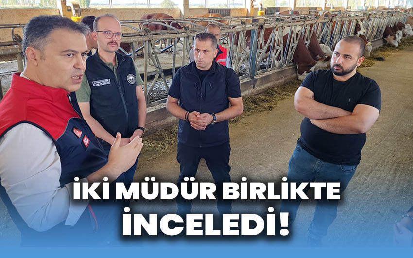 İki müdür birlikte inceledi!