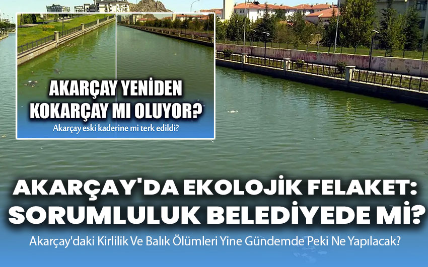 Akarçay'da Ekolojik Felaket: Sorumluluk Belediyede mi?