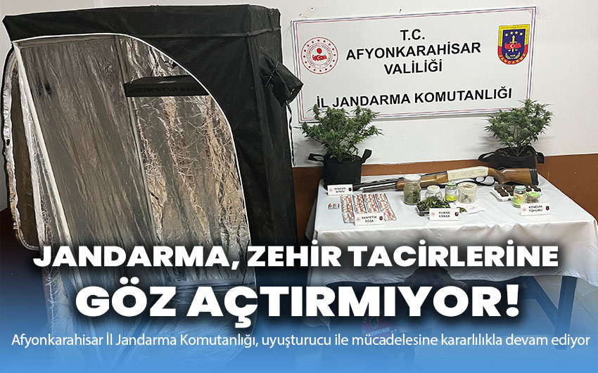 Jandarma, zehir tacirlerine göz açtırmıyor!