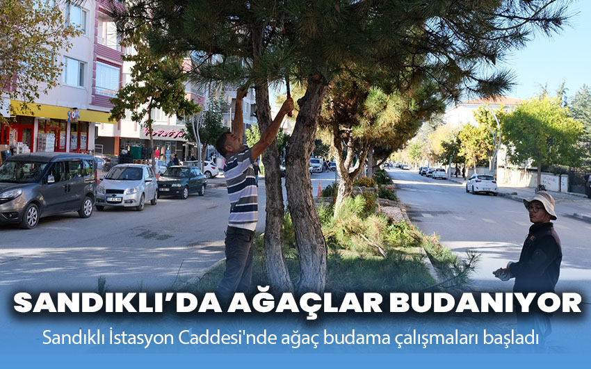 Sandıklı İstasyon Caddesi'nde ağaç budama çalışmaları başladı