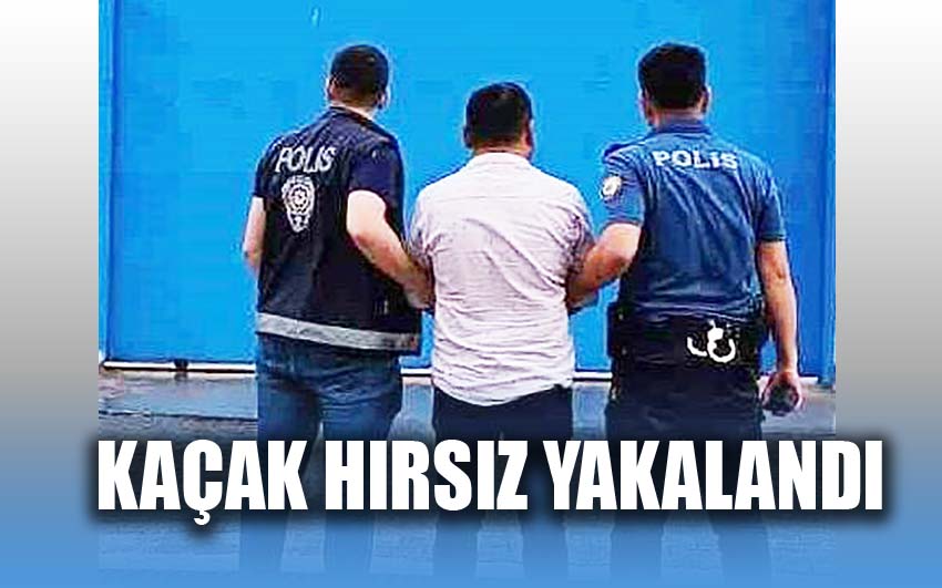 Kaçak hırsız yakalandı