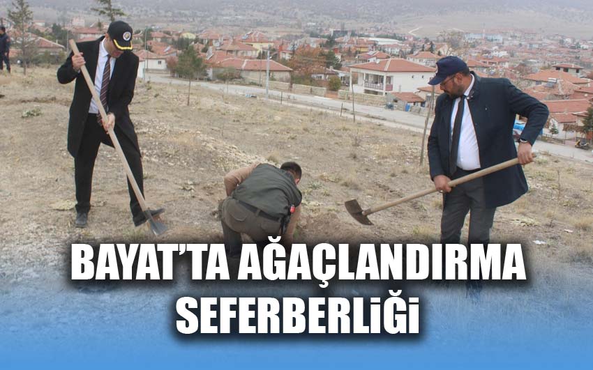 Bayat’ta ağaçlandırma seferberliği