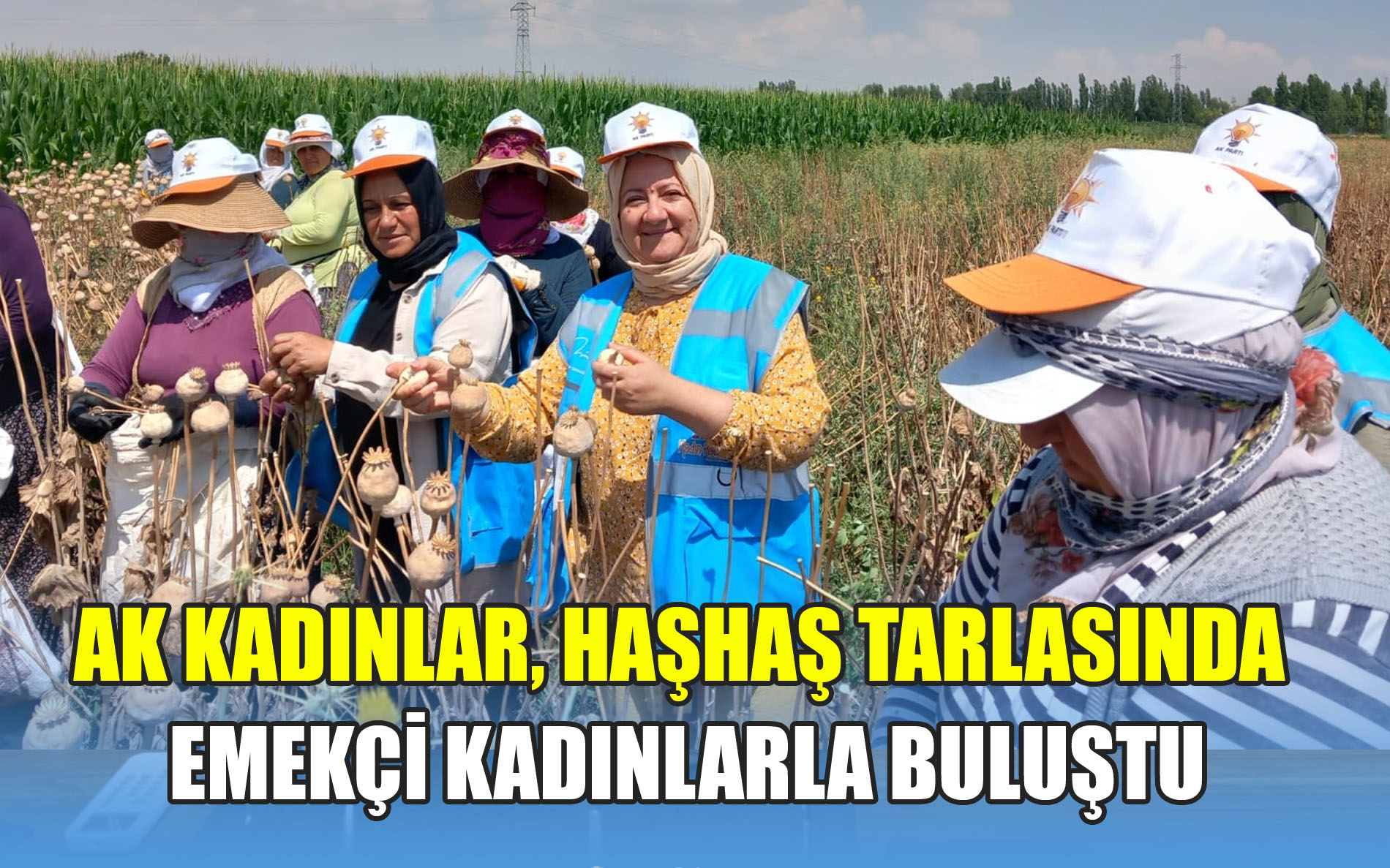 AK KADINLAR, HAŞHAŞ TARLASINDA EMEKÇİ KADINLARLA BULUŞTU