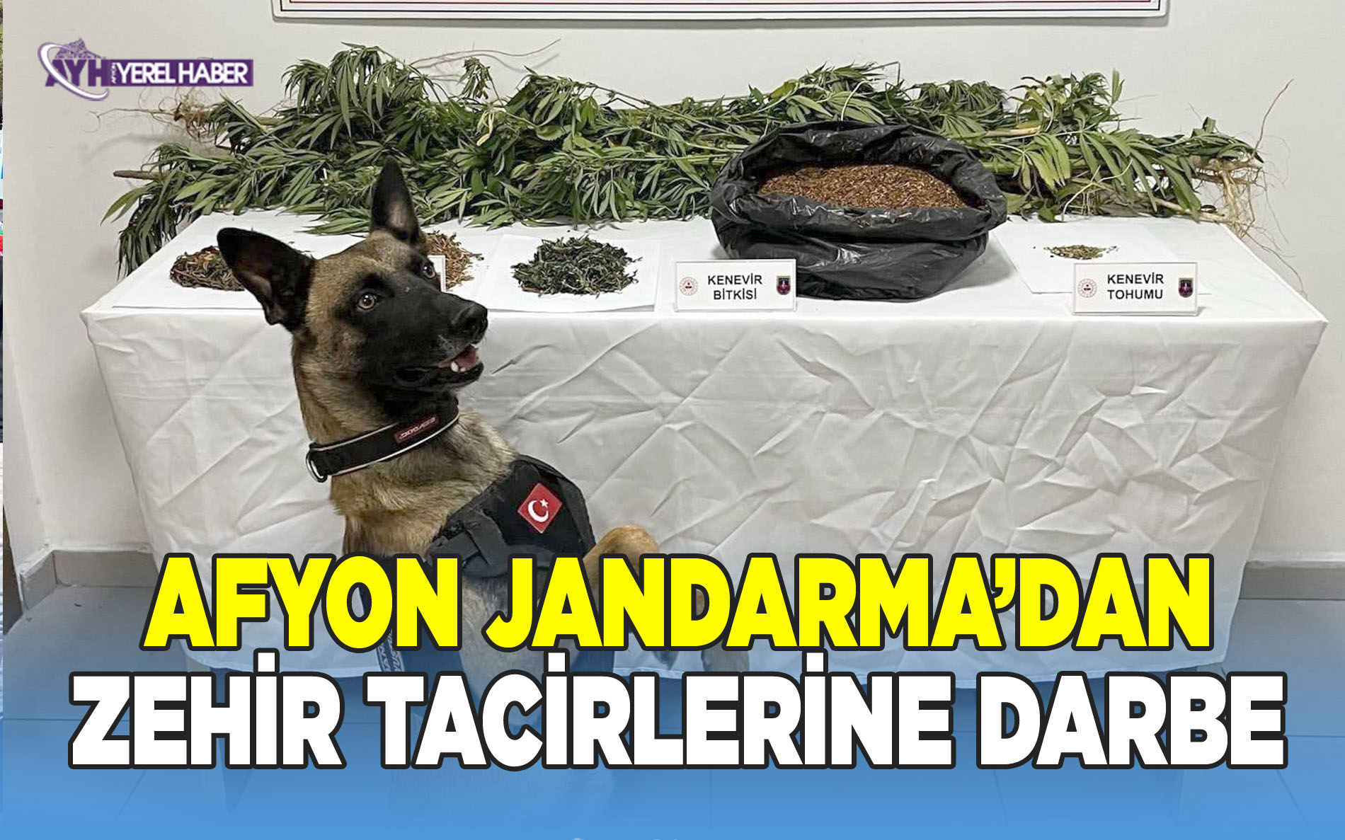 Afyon'da Jandarmadan Zehir Tacirlerine Büyük Darbe!