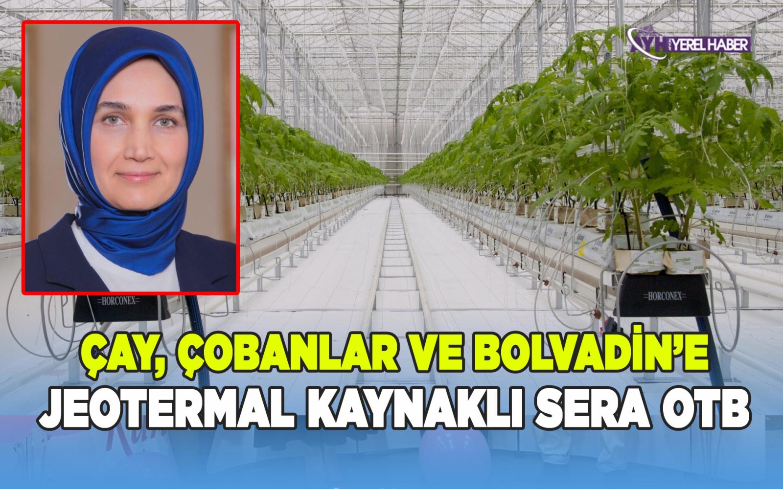 Çay, Çobanlar ve Bolvadin ilçelerinde Jeotermal Kaynaklı Sera Organize Tarım Bölgesi kuruluyor
